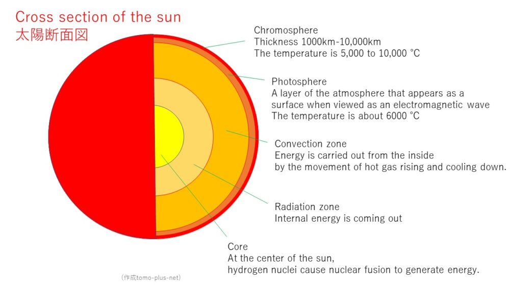 Cross section of the sun